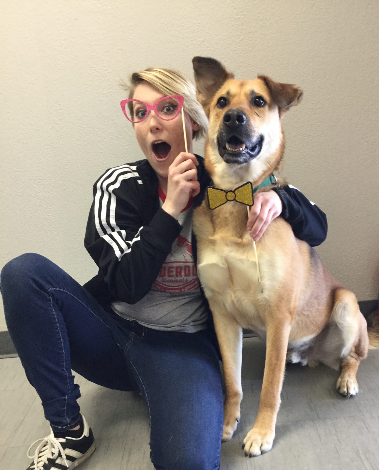 AwardWinning Dog Boarding in Fort Worth, TX Underdog Kennels