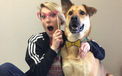 What To Expect On Your Dog’s First Day At Daycare