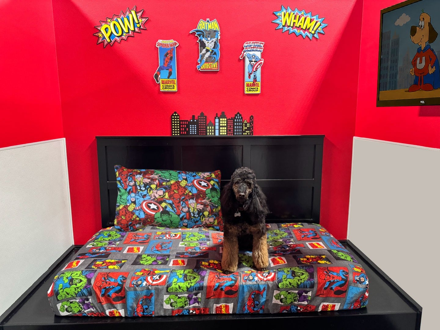 Super Hero with Cody