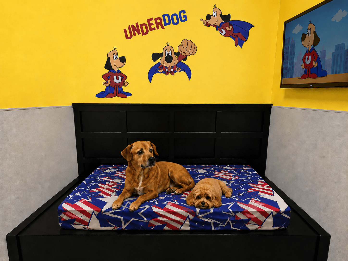 Underdog Suite