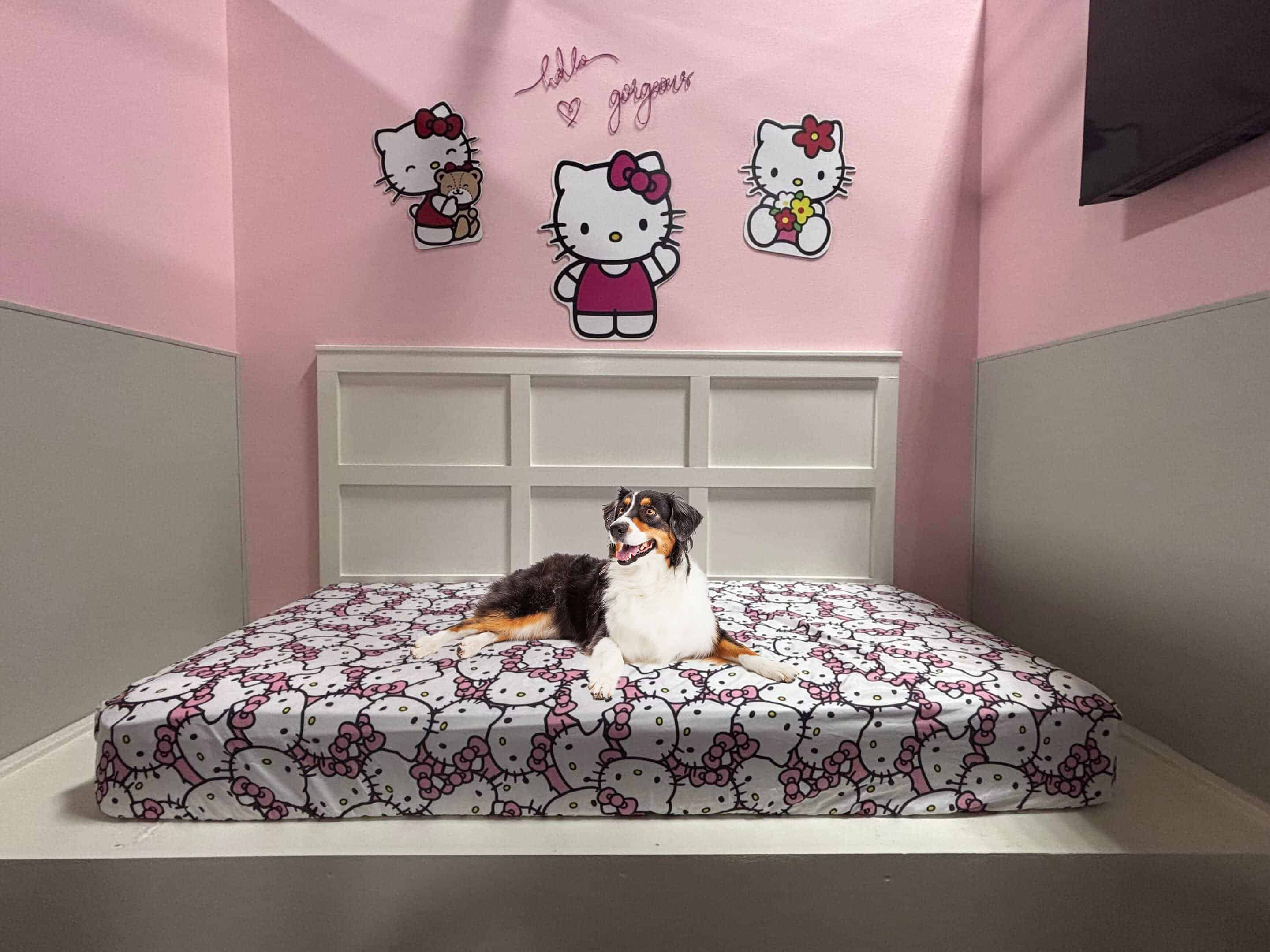 hello-kitty-scaled2 Hello Kitty Suite