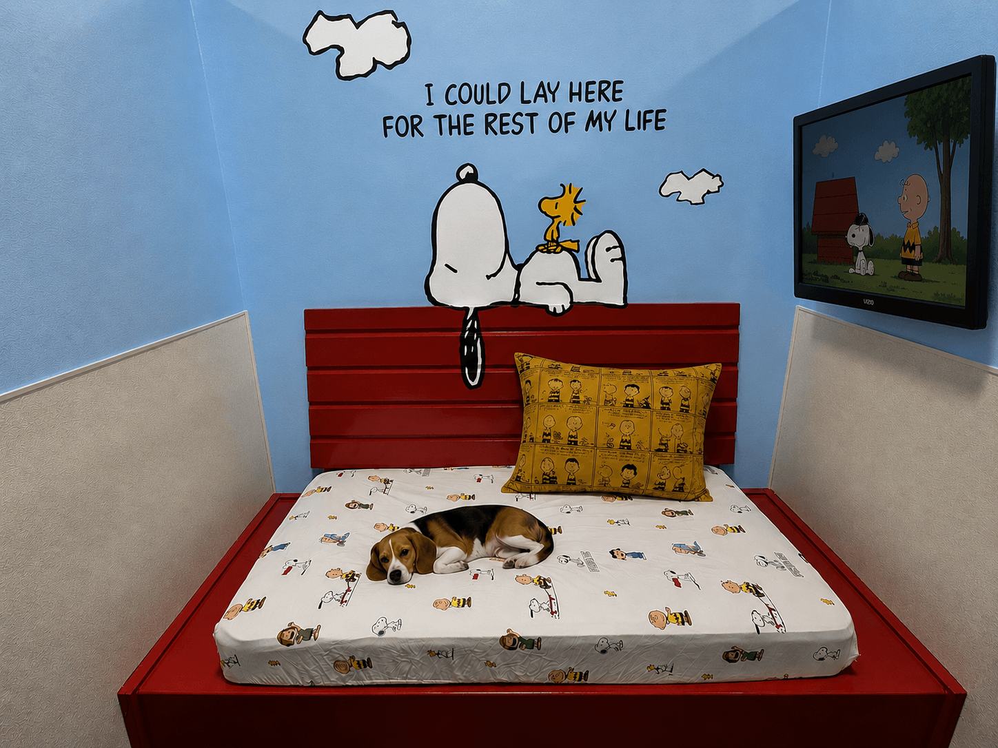 Snoopy suite