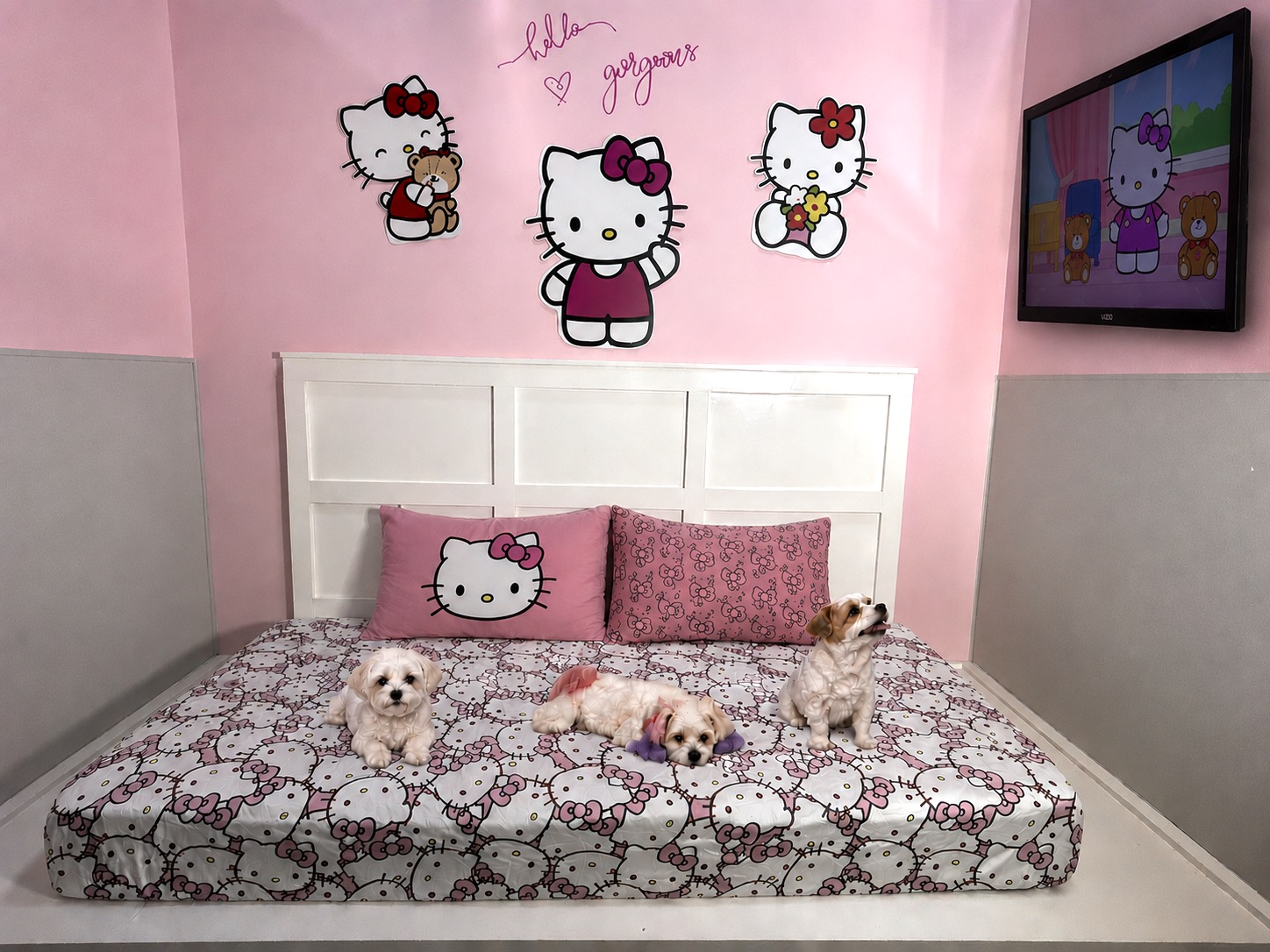 Hello Kitty Suite