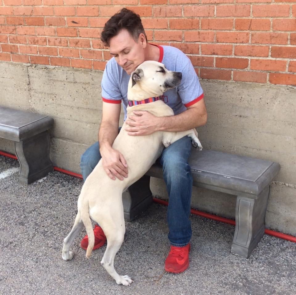 dog-daycare-uptown-dallas dog day care in uptown Dallas - Dog being petted by daycare staff